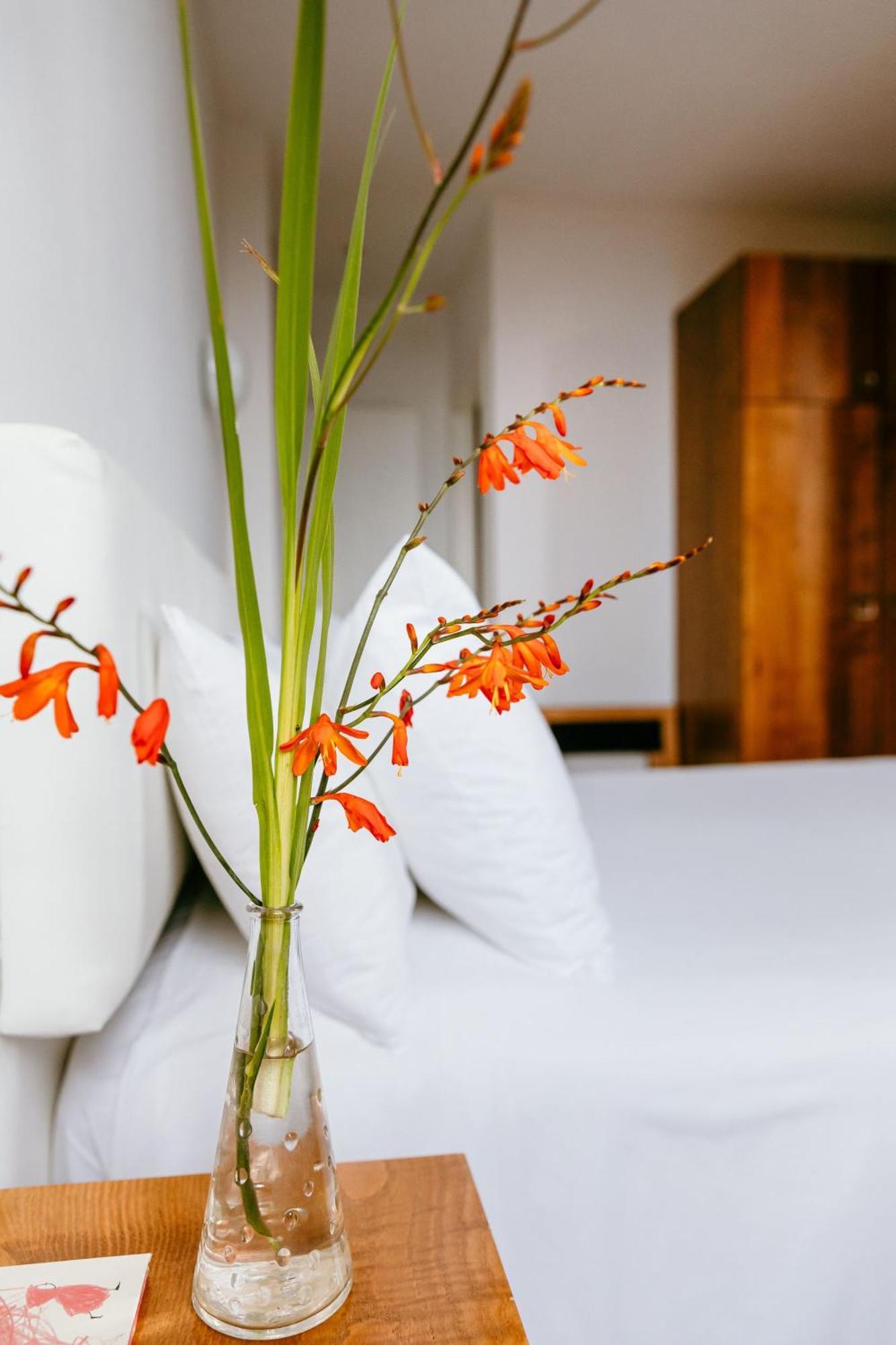 Hotel El Castano Dormilon サンタマルタ・デ・オルティゲイラ エクステリア 写真